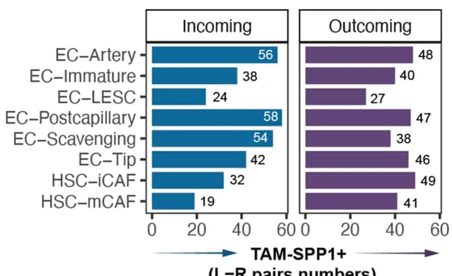 Open access visualization of Bar Plot, Ligand-receptor pairs, Stromal Cells, TAM-SPP1, scRNA-seq data
