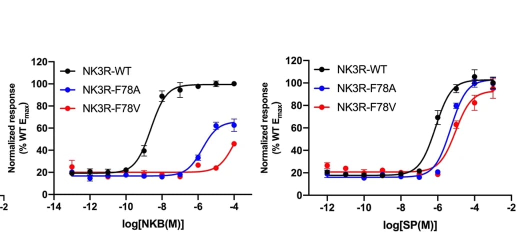 Open access visualization of Line Plot, Error Bars, IP-one accumulation assay, Wild-type NK3R, NK3R