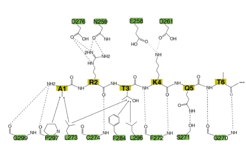 Open access visualization of Chemical Structure, Interaction Diagram, Rco1, PHD1, H3K4me0