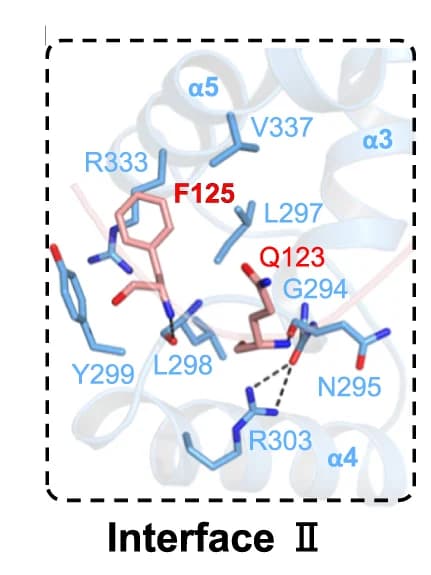 Open access visualization of Protein Structure, Chemical Structure, Interaction, Eaf3, Eaf7