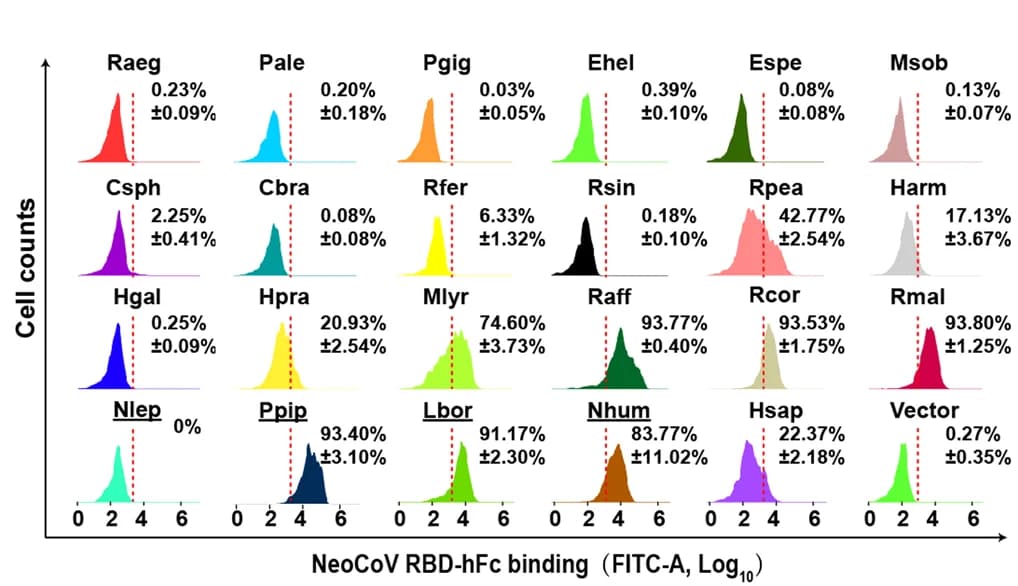 Open access visualization of Density Plot, Error Bars, ACE2 Orthologues, Yin-bats, NeoCoV