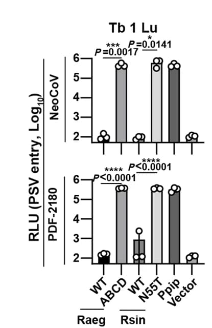 Open access visualization of Bar Plot, Error Bars, NeoCoV, PDF-2180, Pseudovirus Entry
