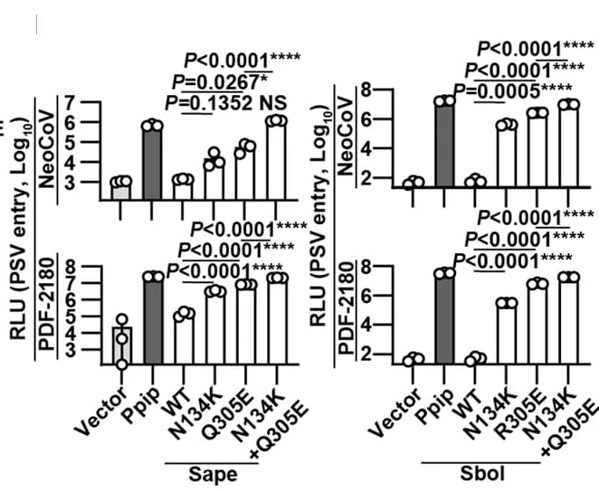 Open access visualization of Bar Plot, Error Bars, Scatter Plot, Flow Cytometry Analysis, NeoCoV