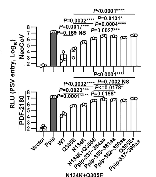 Open access visualization of Bar Plot, Scatter Plot, Error Bars, Flow Cytometry Analysis, NeoCoV