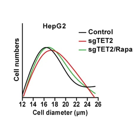 Open access visualization of Line Plot, Density Plot, Tumor Cells, Rapamycin, Cell Size