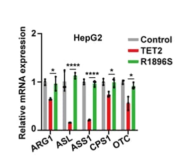 Open access visualization of Bar Plot, Error Bars, Clustered, Catalytic Activity, mRNA Decay