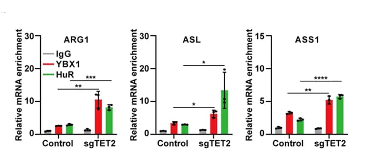Open access visualization of Bar Plot, Error Bars, Clustered, TET2 Deficiency, YBX1