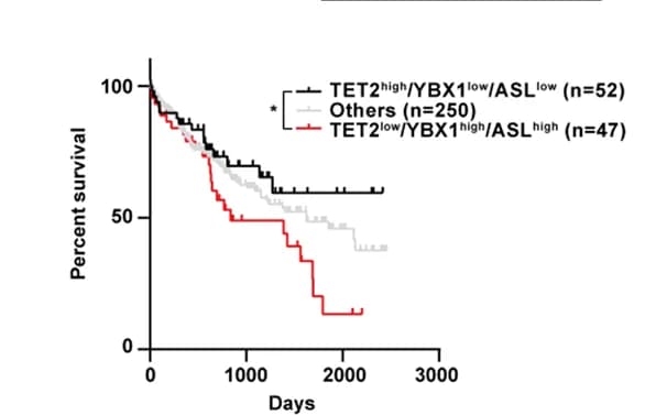 Open access visualization of Survival Curve, Line Step, TET2, YBX1, ASL