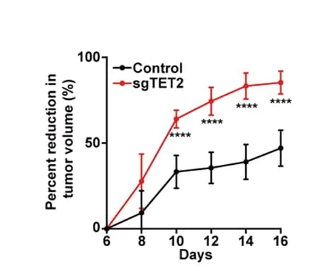 Open access visualization of Line Plot, Error Bars, TET2 deficiency, Tumor Cells, Rapamycin