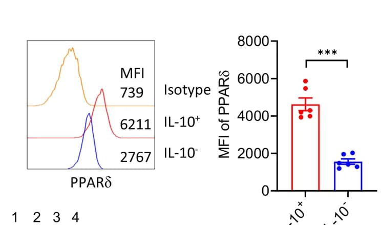 Open access visualization of Bar Plot, Error Bars, Density Plot, FACS, PPARdelta
