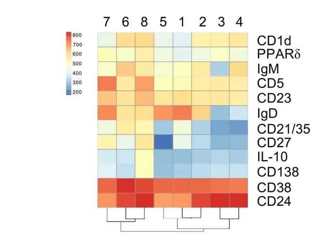 Open access visualization of Heatmap, Clustered, Heat Map, Expression Levels, CD19+ B Cell Clusters
