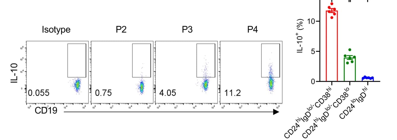 Open access visualization of Bar Plot, Scatter Plot, IL-10, B Cells, Mouse