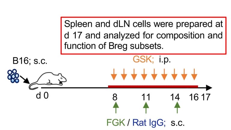 Open access visualization of Workflow, Illustration, Experimental setup