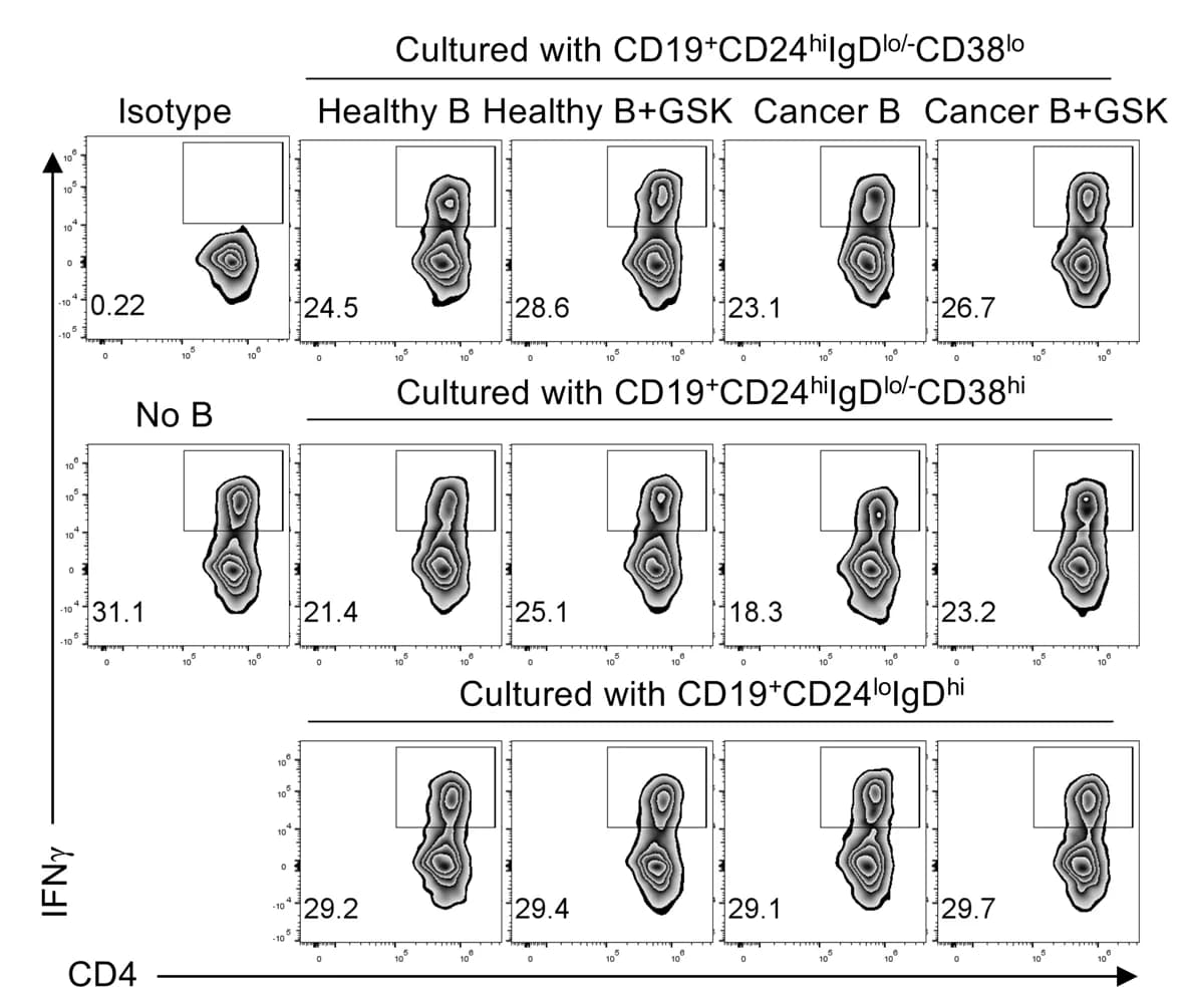 Open access visualization of Scatter Plot, B Cells, PBMCs, Healthy Subjects, NSCLC Patients