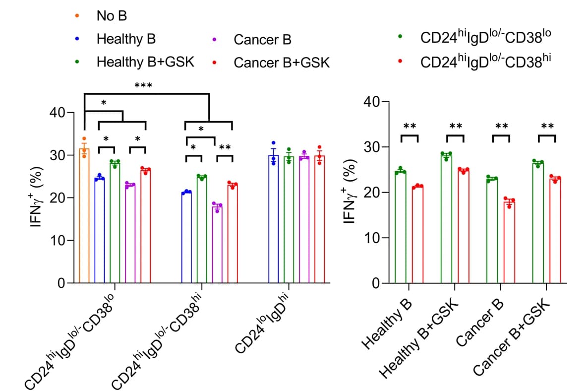 Open access visualization of Bar Plot, Error Bars, Clustered, IFNgamma Cells, T Cells