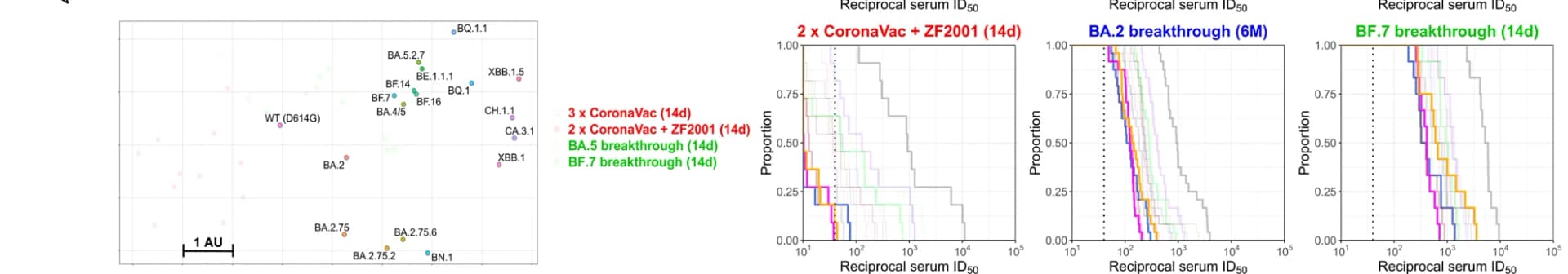 Open access visualization of Scatter Plot, Line Step, Antigenic Map, Serum Neutralization, Virus Positions