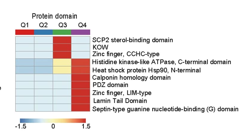 Open access visualization of Heatmap, GO enrichment analysis, Protein domains, DEKPs
