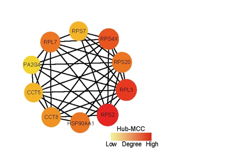 Open access visualization of Network, Pathway, Hub proteins, PPI network, Protein-protein interaction