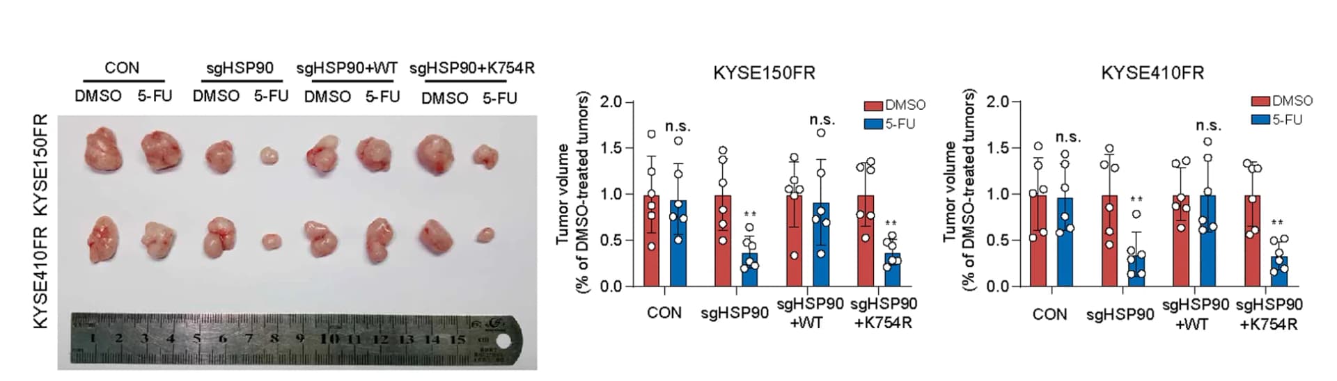 Open access visualization of Bar Plot, Error Bars, Tumor xenografts, ESCC Cells, 5-FU
