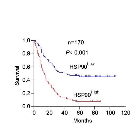Open access visualization of Survival Curve, KaplanMeier analysis, Overall survival, ESCC Patients, HSP90