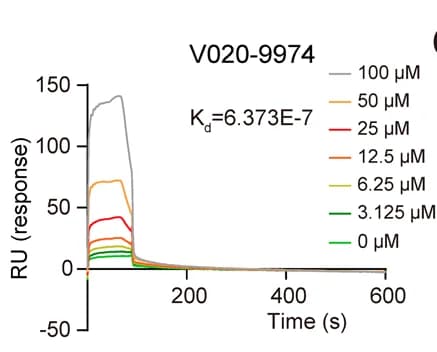 Open access visualization of Line Plot, Biacore Analysis, V020-9974, SDCBP Protein, Binding