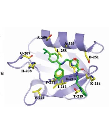 Open access visualization of Protein Structure, Predicted Model, V020-9974, PDZ2 Domain, SDCBP