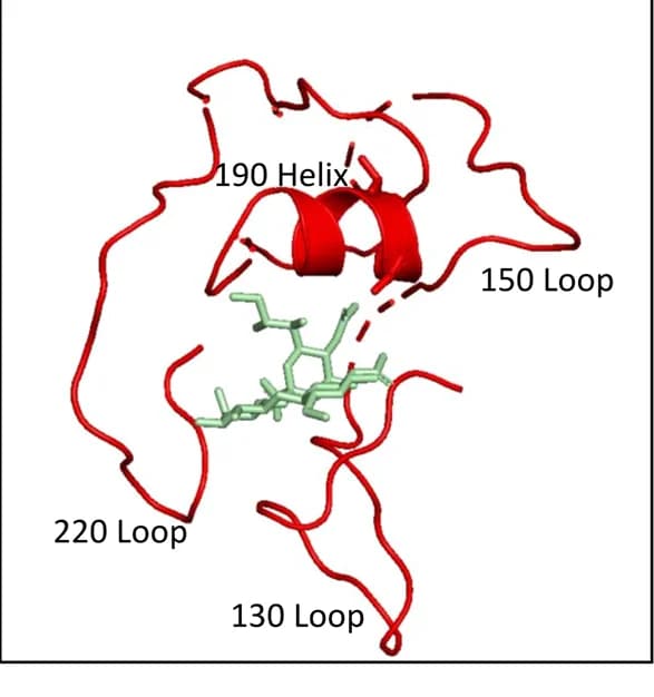 Open access visualization of Protein Structure, Chemical Structure, Domains, RBD, Sialic acid