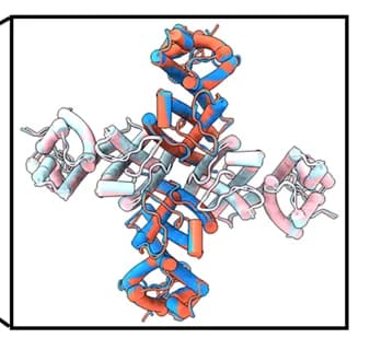 Open access visualization of Protein Structure, Top Views, Tetrameric TMDs, C-Linkers, CNBDs