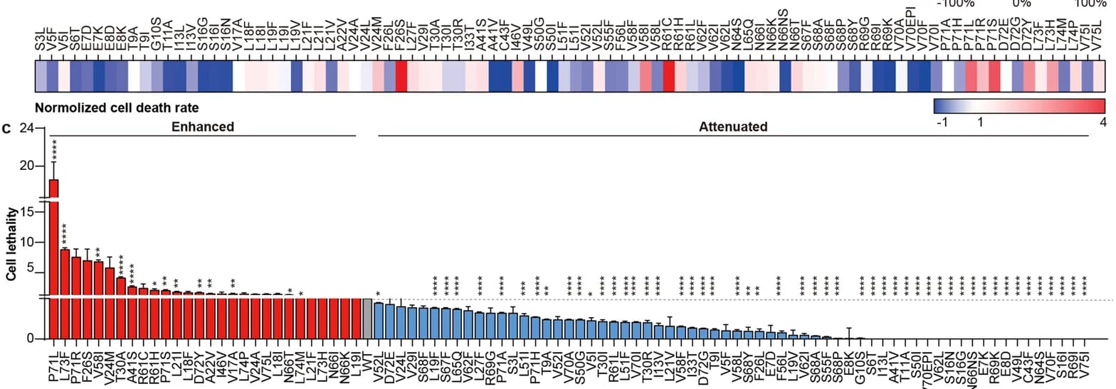Open access visualization of Bar Plot, Heatmap, Error Bars, Cell Death Rate, Mutations