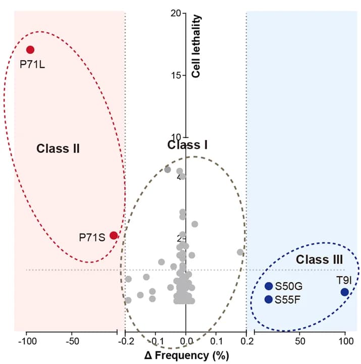 Open access visualization of Scatter Plot, Correlation Analysis, Cell Lethality
