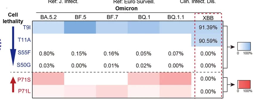 Open access visualization of Heatmap, Mutation Frequencies, Omicron Subvariants