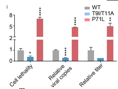 Open access visualization of Bar Plot, Error Bars, Clustered, Cell Lethality, Viral Loads