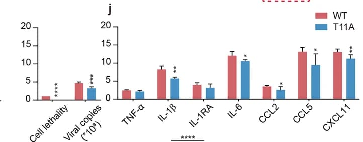 Open access visualization of Bar Plot, Error Bars, Clustered, Cell Lethality, Cytokine Release