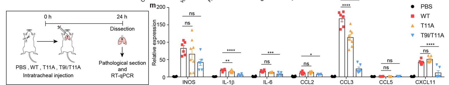 Open access visualization of Bar Plot, Scatter Plot, Error Bars, Illustration, Flow Chart