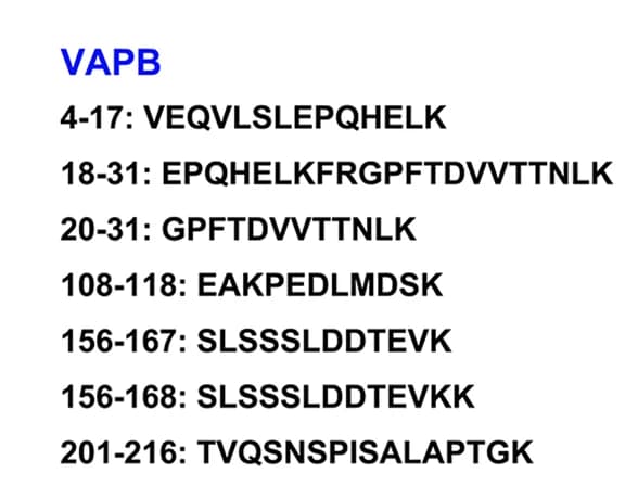 Open access visualization of Table Image, MALDI-TOF, VAPB, IRS-1, FLAG-IRS-1