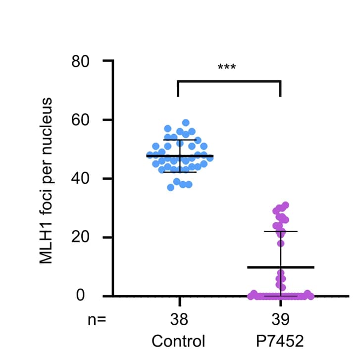 Open access visualization of Scatter Plot, Error Bars, MLH1 foci, Spermatocyte, Control
