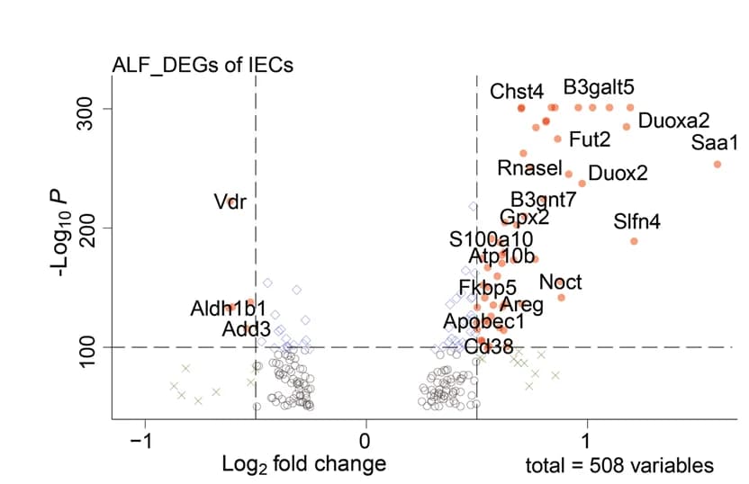 Open access visualization of Volcano Plot, Scatter Plot, ALF_DEGs, IECs