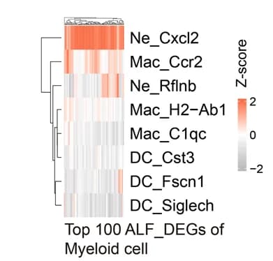 Open access visualization of Heatmap, Clustered, Clustered Heatmap, ALF_DEGs, Myeloid Cells