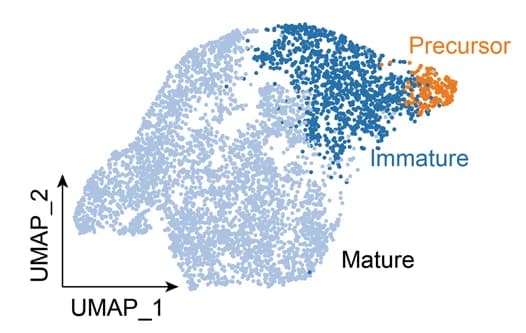 Open access visualization of Scatter Plot, UMAP, UMAP Plot, Enterocyte Maturation
