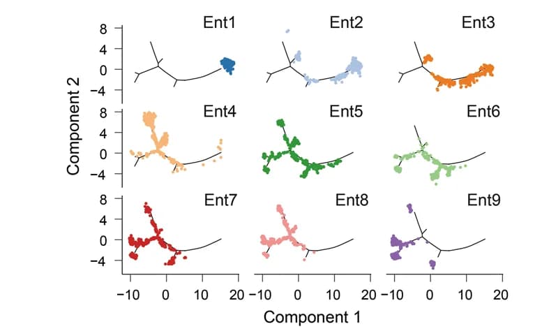 Open access visualization of Scatter Plot, UMAP, Line Plot, Pseudotime, Enterocytes