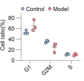Open access visualization of Scatter Plot, Percentages, Intestinal Stem Cell Cycles, ANOVA