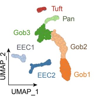 Open access visualization of Scatter Plot, UMAP, UMAP Plot, IECs