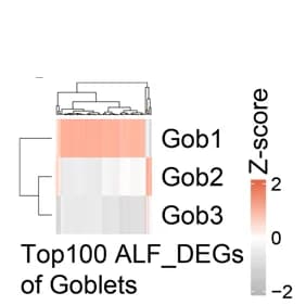 Open access visualization of Heatmap, Clustered, Clustered Heatmap, ALF_DEGs, IECs