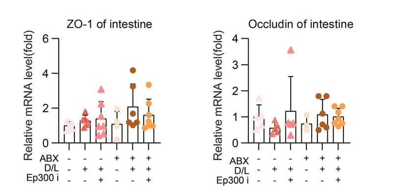 Open access visualization of Box Plot, Scatter Plot, Error Bars, Raincloud Plot, q-PCR analysis