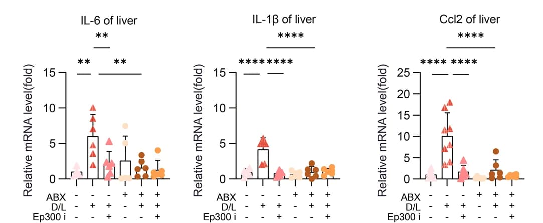 Open access visualization of Bar Plot, Error Bars, Scatter Plot, q-PCR analysis, mRNA levels