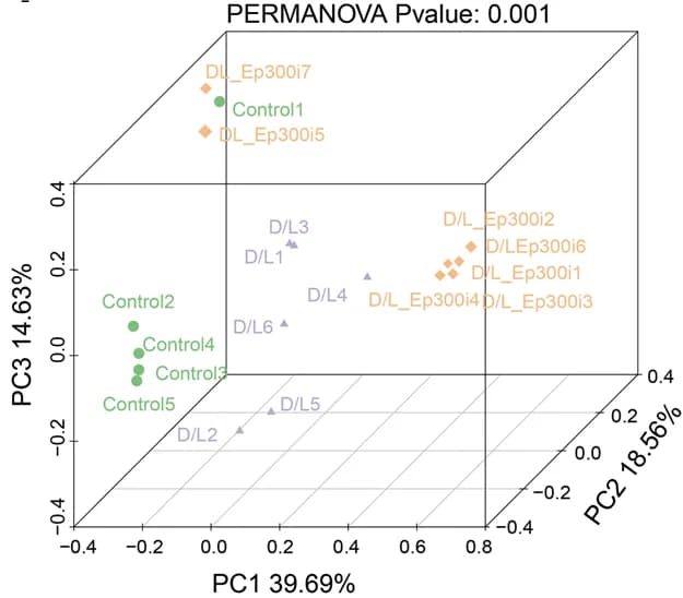 Open access visualization of 3D Plot, LEfSe, Abundance