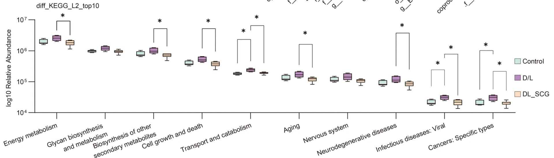 Open access visualization of Box Plot, KEGG Pathways