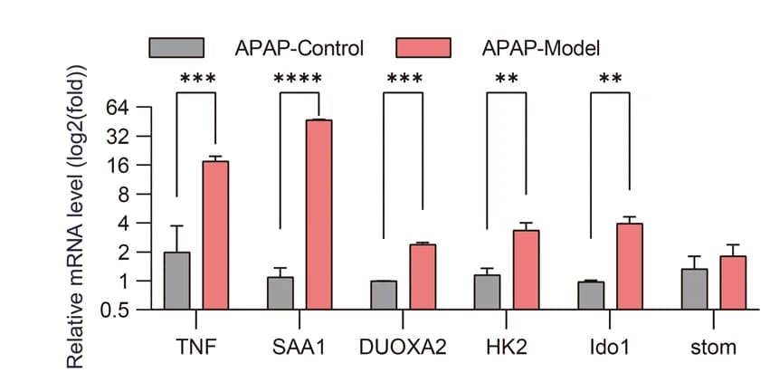 Open access visualization of Bar Plot, Error Bars, q-PCR, mRNA, Mouse intestinal