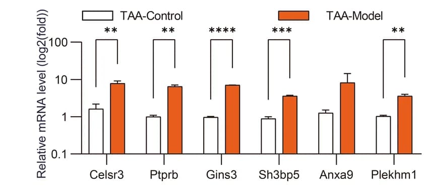 Open access visualization of Bar Plot, Error Bars, q-PCR, mRNA, Mouse intestinal