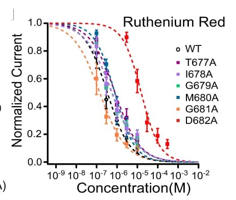 Open access visualization of Line Plot, Error Bars, Concentration-Response Curves, Ruthenium Red Inhibition, WT TRPV4